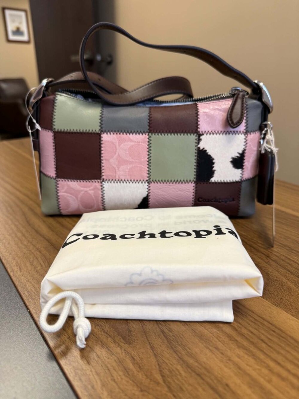 Coachtopia Alter/Ego Small Slouchy Shoulder Bag Pink/Brown NWT